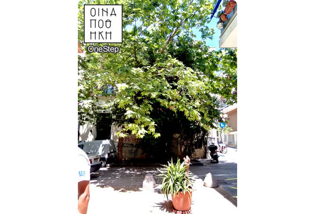 OneStep Suite - Neighborhood